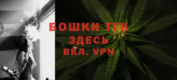 дживик Горнозаводск