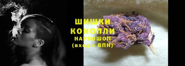 прущий лед Горно-Алтайск