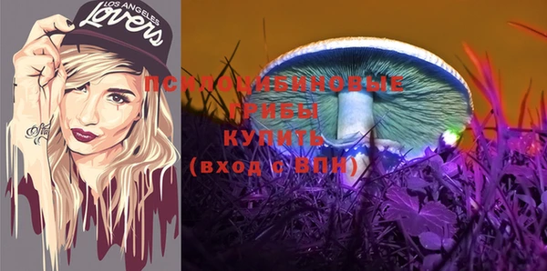 гашик Верея