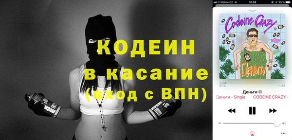гашик Верея