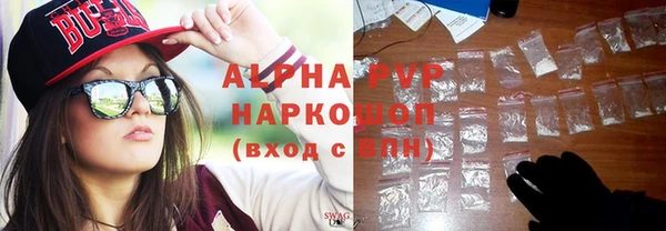 гашик Верея